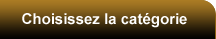 choisissez la cat&eacute;gorie