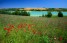 Le lac avec des coquelicots
